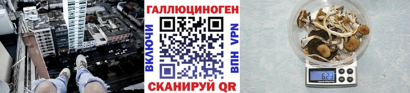 Псилоцибиновые грибы Psilocybine cubensis  Донской 